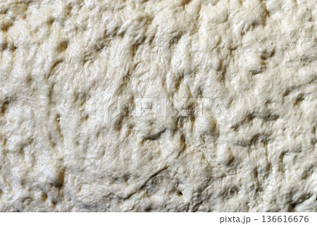Raw Fresh Pizza or Focaccia Dough Prepared for Baking Raw Fresh Pizza or Focaccia Dough Prepared for Baking 136616676
