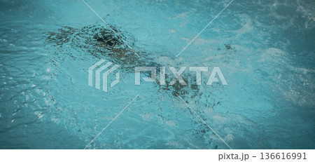Abstract photo lifestyle, nature background. Unrecognizable person body deep under water, look at surface. Mystery mood. Concept of weightless, uncertain future, drown in obscurity, childhood issues 136616991