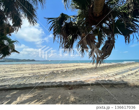 宮崎県青島の鬼の洗濯板と青い海 136617036