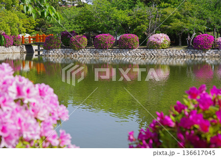 九華公園のつつじ《三重県 桑名市》 136617045