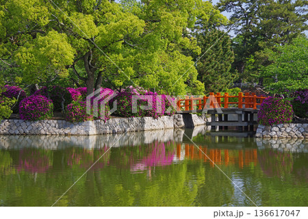 九華公園のつつじ《三重県 桑名市》 136617047