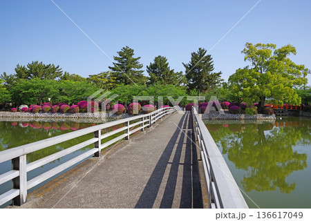 九華公園のつつじ《三重県 桑名市》 136617049