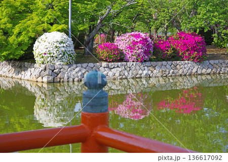 九華公園のつつじ《三重県 桑名市》 136617092