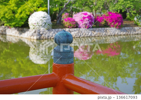 九華公園のつつじ《三重県 桑名市》 136617093