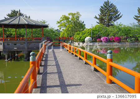 九華公園のつつじ《三重県 桑名市》 九華公園のつつじ《三重県 桑名市》 136617095