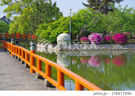 九華公園のつつじ《三重県 桑名市》 136617096