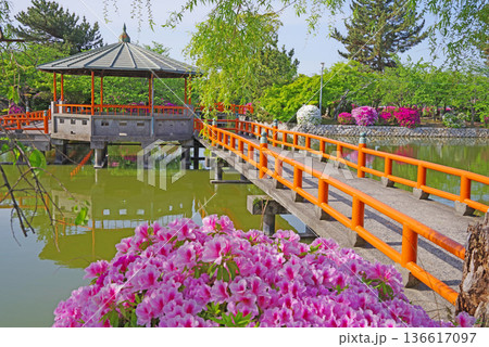 九華公園のつつじ《三重県 桑名市》 136617097