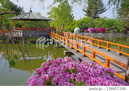 九華公園のつつじ《三重県 桑名市》 136617100
