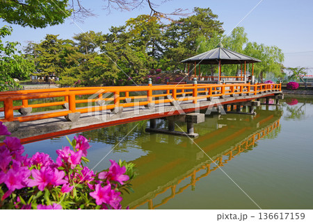 九華公園のつつじ《三重県 桑名市》 九華公園のつつじ《三重県 桑名市》 136617159