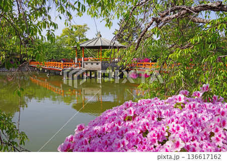九華公園のつつじ《三重県 桑名市》 136617162