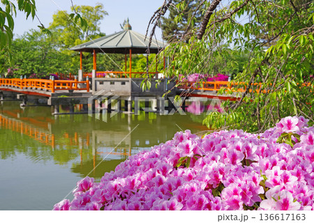 九華公園のつつじ《三重県 桑名市》 136617163