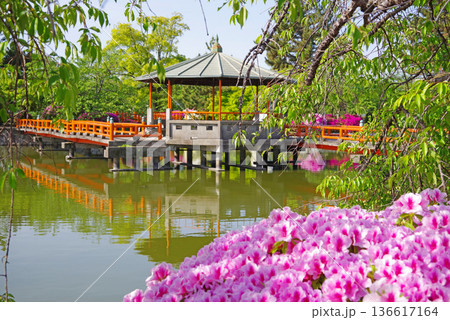 九華公園のつつじ《三重県 桑名市》 九華公園のつつじ《三重県 桑名市》 136617164