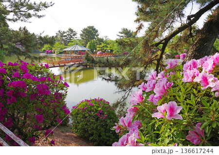 九華公園のつつじ《三重県 桑名市》 九華公園のつつじ《三重県 桑名市》 136617244