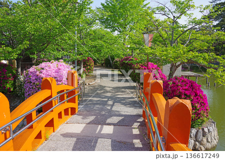 九華公園のつつじ《三重県 桑名市》 136617249