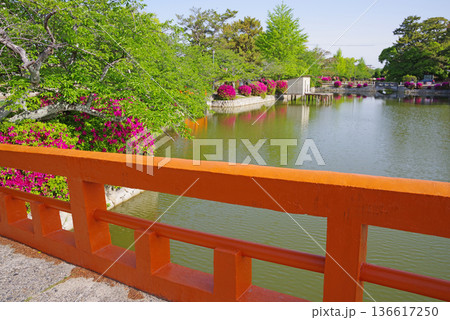 九華公園のつつじ《三重県 桑名市》 136617250
