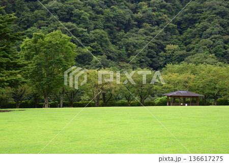 自然に囲まれた神奈川県立あいかわ公園 自然に囲まれた神奈川県立あいかわ公園 136617275