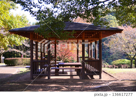 自然に囲まれた神奈川県立あいかわ公園 自然に囲まれた神奈川県立あいかわ公園 136617277