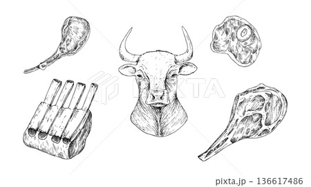 Vector Meat on the ribs. Graphic ink pork or beef illustration, isolated on background. Hand drawn line sketch. For designers, prints, logo, icon, menu, postcards, holiday, covers 136617486