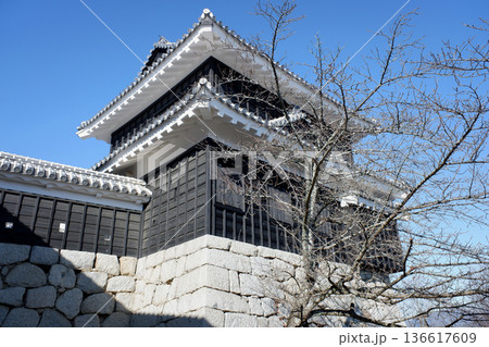 愛媛県 松山城・巽櫓 愛媛県 松山城・巽櫓 136617609