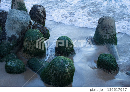 海岸のブロック 海岸のブロック 136617957
