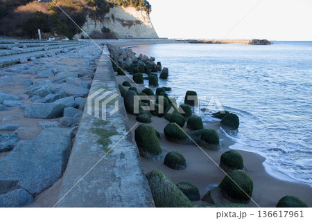 海岸のブロック 136617961