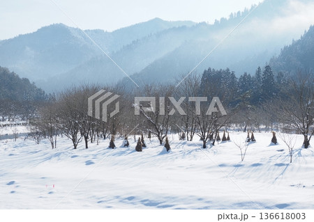 美山のかや場と山と雲と雪 美山のかや場と山と雲と雪 136618003