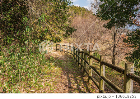 キトラ古墳四神の広場周りの里山 奈良県明日香村 キトラ古墳四神の広場周りの里山 奈良県明日香村 136618255