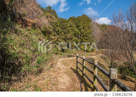 キトラ古墳四神の広場周りの里山 奈良県明日香村 キトラ古墳四神の広場周りの里山 奈良県明日香村 136618256