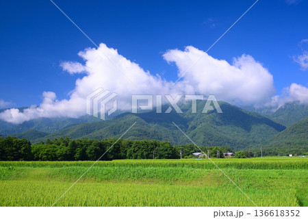 夏の田園風景 136618352