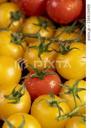 wet round fresh and sweet tomatoes of red and yellow color lie on the table, yellow tomatoes with dots , a lot of tomatoes covered with drops of water, tomatoes on a green branch wet round fresh and sweet tomatoes of red and yellow color lie on the table, yellow tomatoes with dots , a lot of tomatoes covered with drops of water, tomatoes on a green branch 136618409