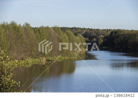 autumn calm weather in the autumn season on the river, yellowed trees grow on the riverbank in sunny weather, trees are reflected in the water, at sunset in the evening 136618412