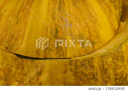 orange pumpkin cut in half, ripe large pumpkin cut in two halves 136618498