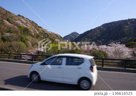 兵庫県洲本市　桜の咲く時期にオニオンロードから鮎屋川ダムを望む 136618525