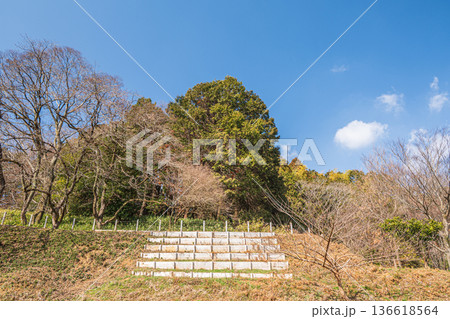 キトラ古墳四神の広場周りの里山 奈良県明日香村 キトラ古墳四神の広場周りの里山 奈良県明日香村 136618564
