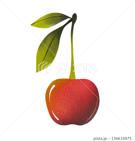Fresh ripe cherries with green leaves, hand-drawn. Simple watercolor illustration. Fresh ripe cherries with green leaves, hand-drawn. Simple watercolor illustration. 136618975