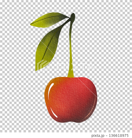 Fresh ripe cherries with green leaves, hand-drawn. Simple watercolor illustration. Fresh ripe cherries with green leaves, hand-drawn. Simple watercolor illustration. 136618975