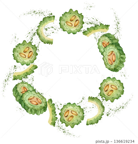 Slices of bitter melon and Indian cucumber, hand-painted watercolor splashes on a white background. Round watercolor frame. Healthy eating concept for recipes, menus, and packaging. 136619234