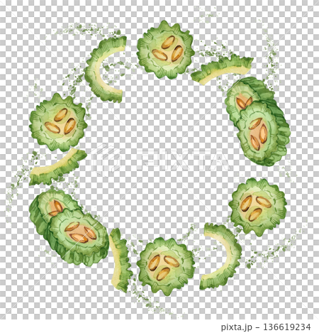 Slices of bitter melon and Indian cucumber, hand-painted watercolor splashes on a white background. Round watercolor frame. Healthy eating concept for recipes, menus, and packaging. 136619234