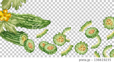 A watercolor composition featuring bitter melon, momordica, bitter cucumber slices, and a flower. All hand-painted in watercolor. Bitter melon for a healthy recipe, menu, or packaging. 136619235