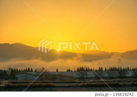 日の出と雲海【安曇野市】 136619242