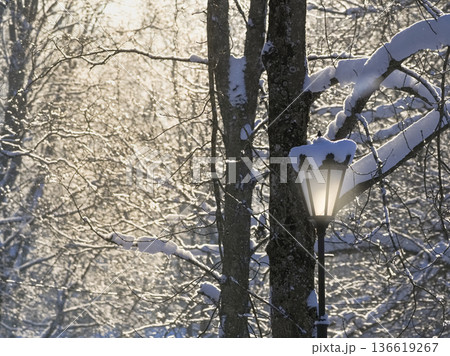 A street lamp is lit up in the snow park. A street lamp is lit up in the snow park. 136619267