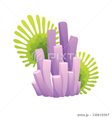Set of watercolor seaweed and corals isolated on white background. Underwater algae. Aquarium plants collection. Vector marine life. Vector isolated corals and algae. Underwater flora Set of watercolor seaweed and corals isolated on white background. Underwater algae. Aquarium plants collection. Vector marine life. Vector isolated corals and algae. Underwater flora 136619367