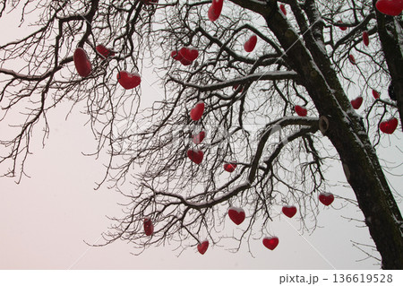Christmas mood from denmark 136619528