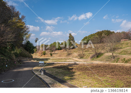 キトラの田んぼ 国営飛鳥歴史公園キトラ古墳周辺地区 奈良県明日香村 キトラの田んぼ 国営飛鳥歴史公園キトラ古墳周辺地区 奈良県明日香村 136619814