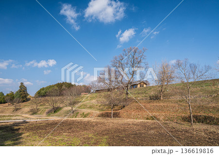 キトラの田んぼ 国営飛鳥歴史公園キトラ古墳周辺地区 奈良県明日香村 キトラの田んぼ 国営飛鳥歴史公園キトラ古墳周辺地区 奈良県明日香村 136619816