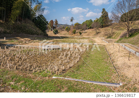 キトラの田んぼ　国営飛鳥歴史公園キトラ古墳周辺地区　奈良県明日香村 136619817