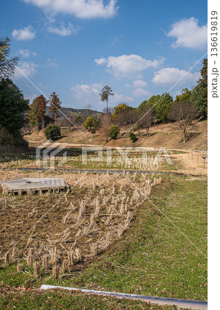 キトラの田んぼ 国営飛鳥歴史公園キトラ古墳周辺地区 奈良県明日香村 キトラの田んぼ 国営飛鳥歴史公園キトラ古墳周辺地区 奈良県明日香村 136619819