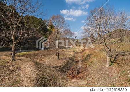 キトラの田んぼ　国営飛鳥歴史公園キトラ古墳周辺地区　奈良県明日香村 136619820