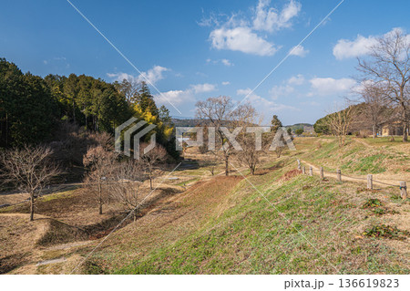 キトラの田んぼ 国営飛鳥歴史公園キトラ古墳周辺地区 奈良県明日香村 キトラの田んぼ 国営飛鳥歴史公園キトラ古墳周辺地区 奈良県明日香村 136619823