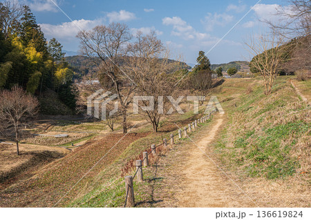 キトラの田んぼ 国営飛鳥歴史公園キトラ古墳周辺地区 奈良県明日香村 キトラの田んぼ 国営飛鳥歴史公園キトラ古墳周辺地区 奈良県明日香村 136619824